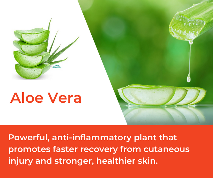 How Aloe Vera is Used in Mountain Ice Sports Recovery Gel