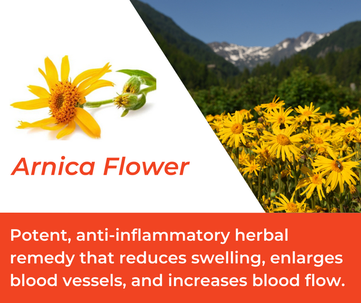 How Arnica Flower is Used in Mountain Ice Sports Recovery Gel
