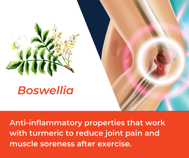How Boswellia is Used in Mountain Ice Sports Recovery Gel