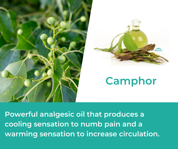 How Camphor is Used in Mountain Ice Pain Relief Gel