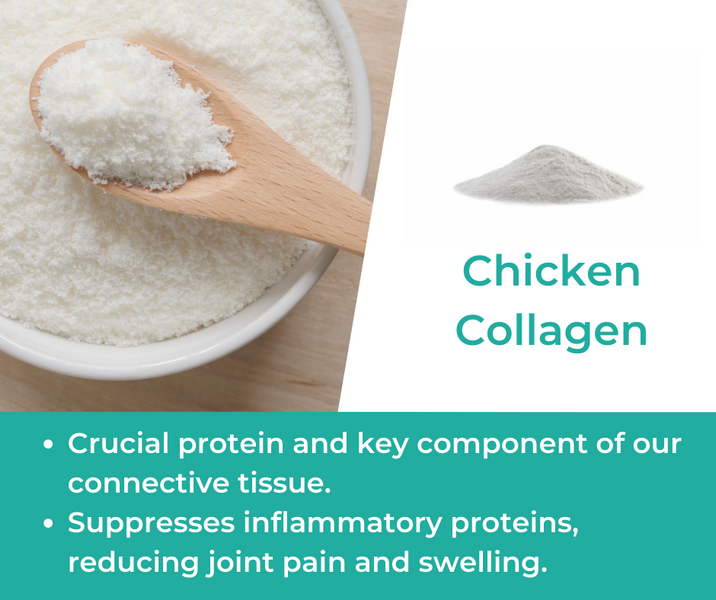 How Chicken Collagen is Used in Mountain Ice Joint & Bone Health Complex
