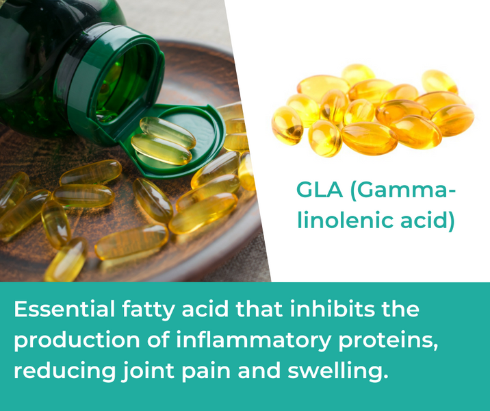 How GLA (Gamma-Linolenic Acid) is Used in Mountain Ice Joint & Bone Health Complex