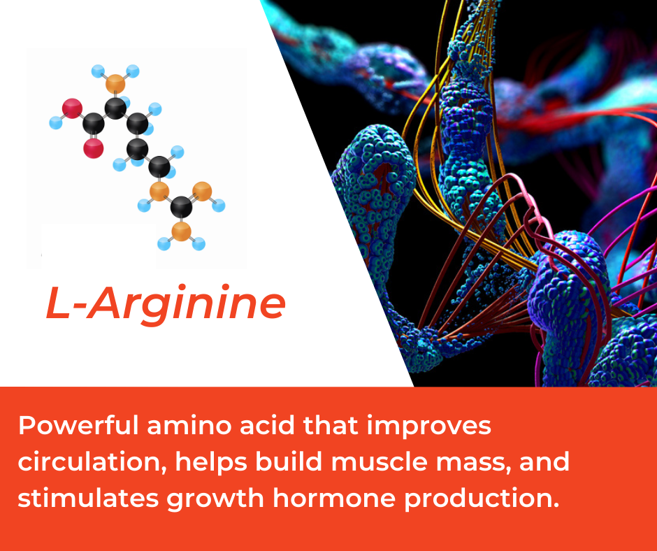 How L-Arginine is Used in Mountain Ice Sports Recovery Gel 