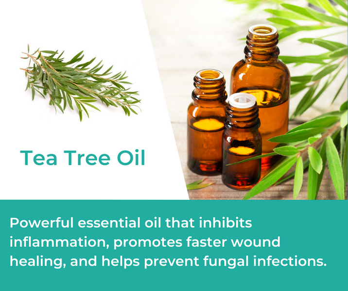 How Tea Tree Oil is Used in Mountain Ice Pain Relief Gel