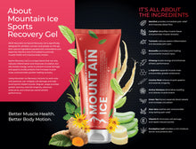 Load image into Gallery viewer, Pain Relief | Mountain Ice Sports Recovery Muscle Therapy Gel 4oz Tube 3+1 Free | Mountain Ice